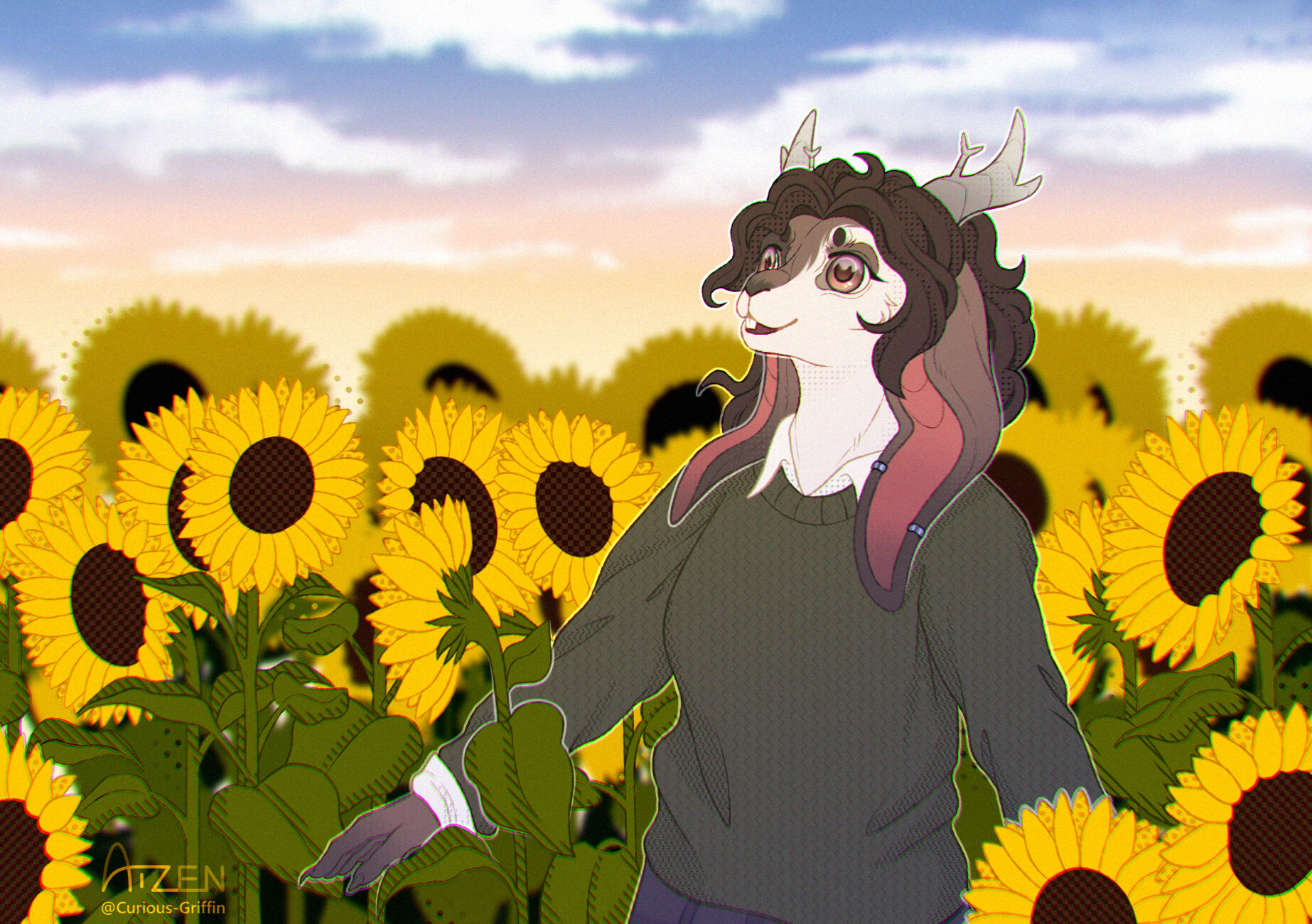 half+complex BG