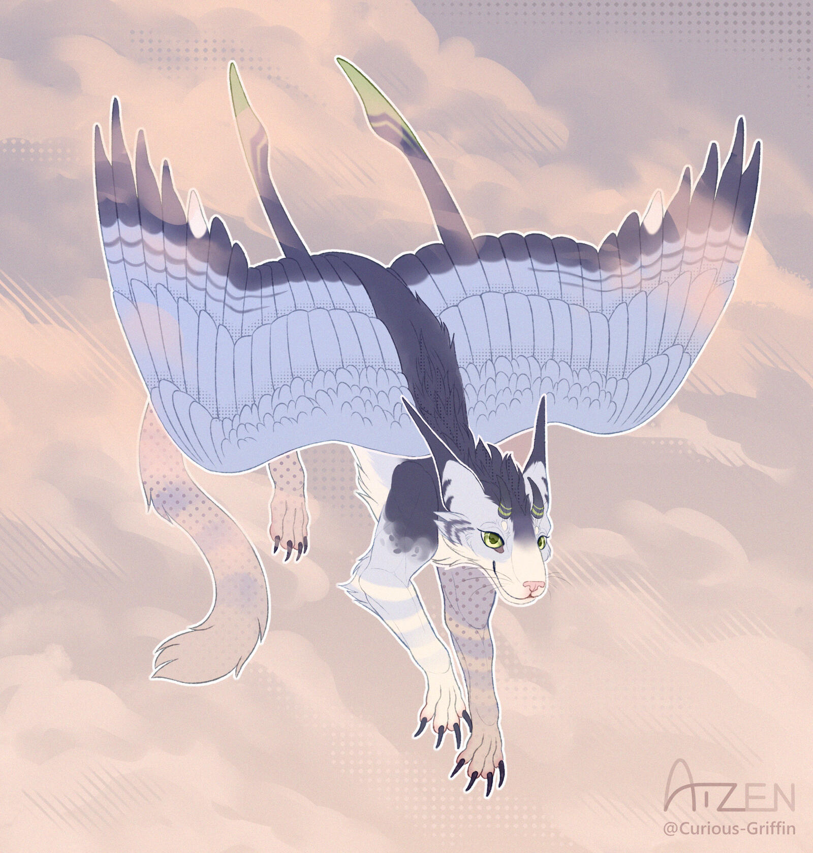 full+simple BG